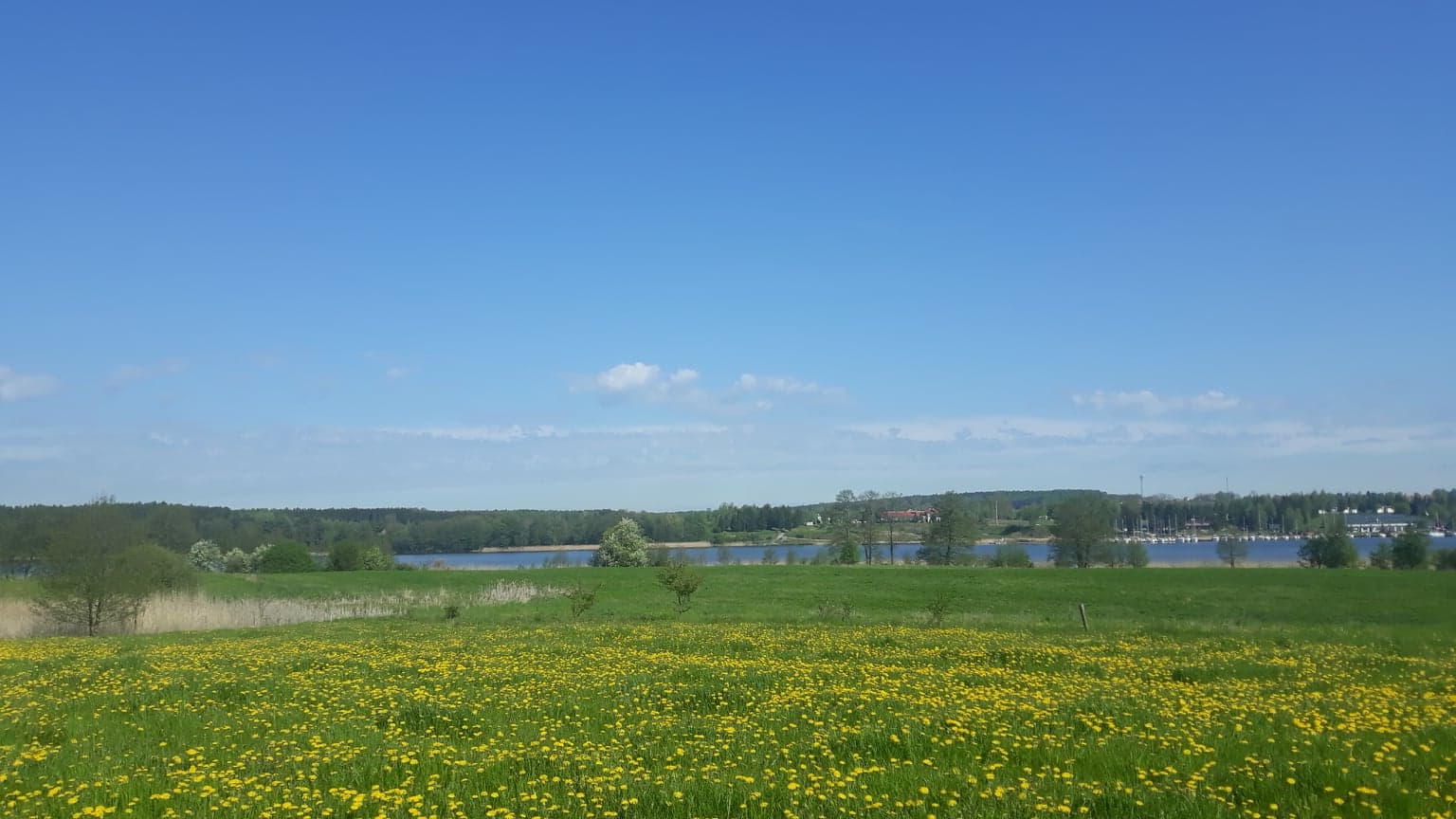 ryn działki inwestycyjne